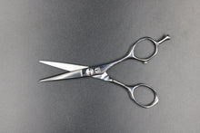 画像をギャラリービューアに読み込む, 【月額1,500円エコノミープラン】ミズタニ / Pixy 5.2 (21-K-00010)