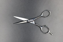 画像をギャラリービューアに読み込む, 【月額1,500円エコノミープラン】ミズタニ / Pixy 5.2 (21-K-00010)