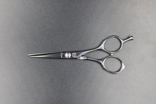 画像をギャラリービューアに読み込む, 【月額1,500円エコノミープラン】ミズタニ / Pixy 5.2 (21-K-00010)