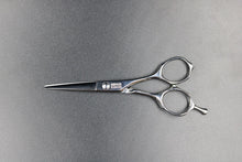 画像をギャラリービューアに読み込む, 【月額1,500円エコノミープラン】ミズタニ / Pixy 5.2 (21-K-00010)