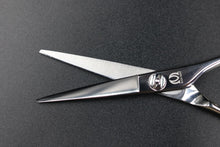 画像をギャラリービューアに読み込む, 【月額1,500円エコノミープラン】ミズタニ / Pixy 5.2 (21-K-00010)