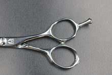 画像をギャラリービューアに読み込む, 【月額1,500円エコノミープラン】ミズタニ / Pixy 5.2 (21-K-00010)